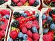Berries for Parkinson's - anthocyanins, fibre, good for health